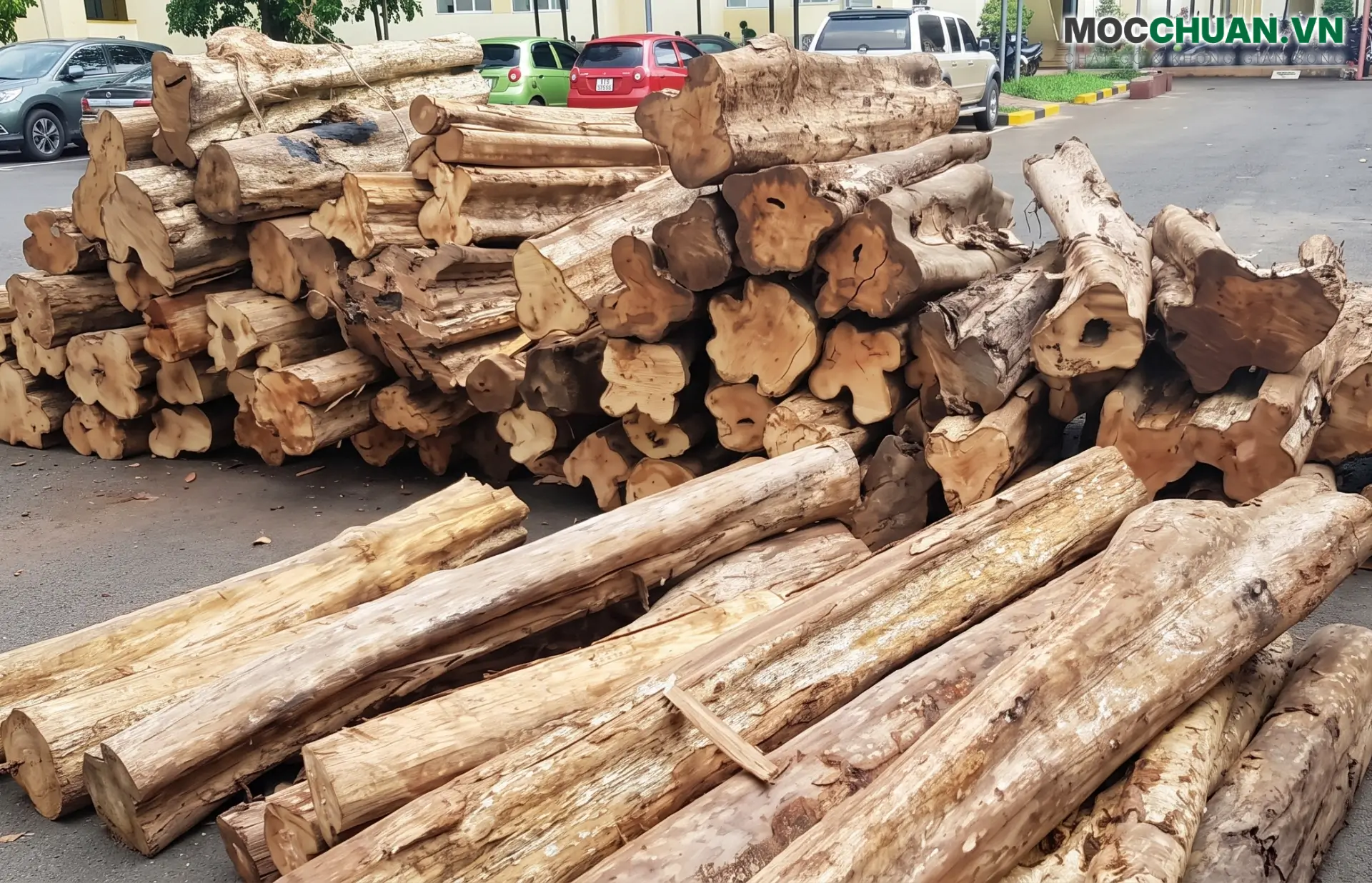 Gỗ Bằng Lăng có tốt không?